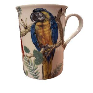 Stechcol Parrot Macaw Toucan Tropical Bird Gracie Bone China Coffee Tea Cup EUC